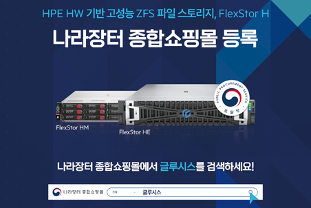 글루시스, HPE HW 기반 'FlexStor H' 조달청 나라장터 등록 완료